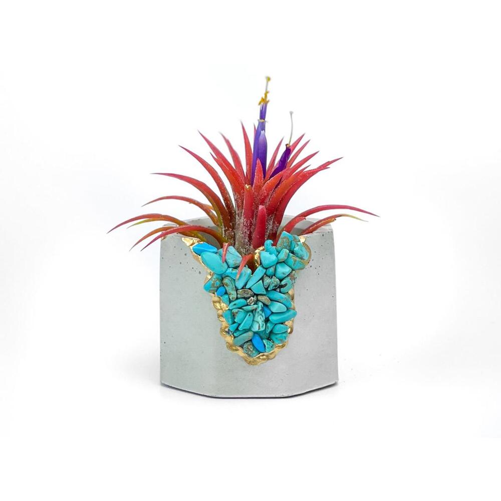 Turquoise Crystal Concrete Planter Air Plant Holder Gift